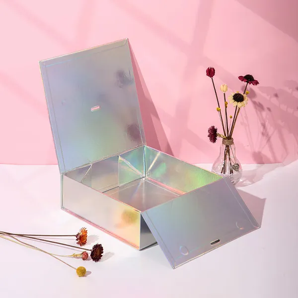 Holographic Magnetic Closure Boxes-2
